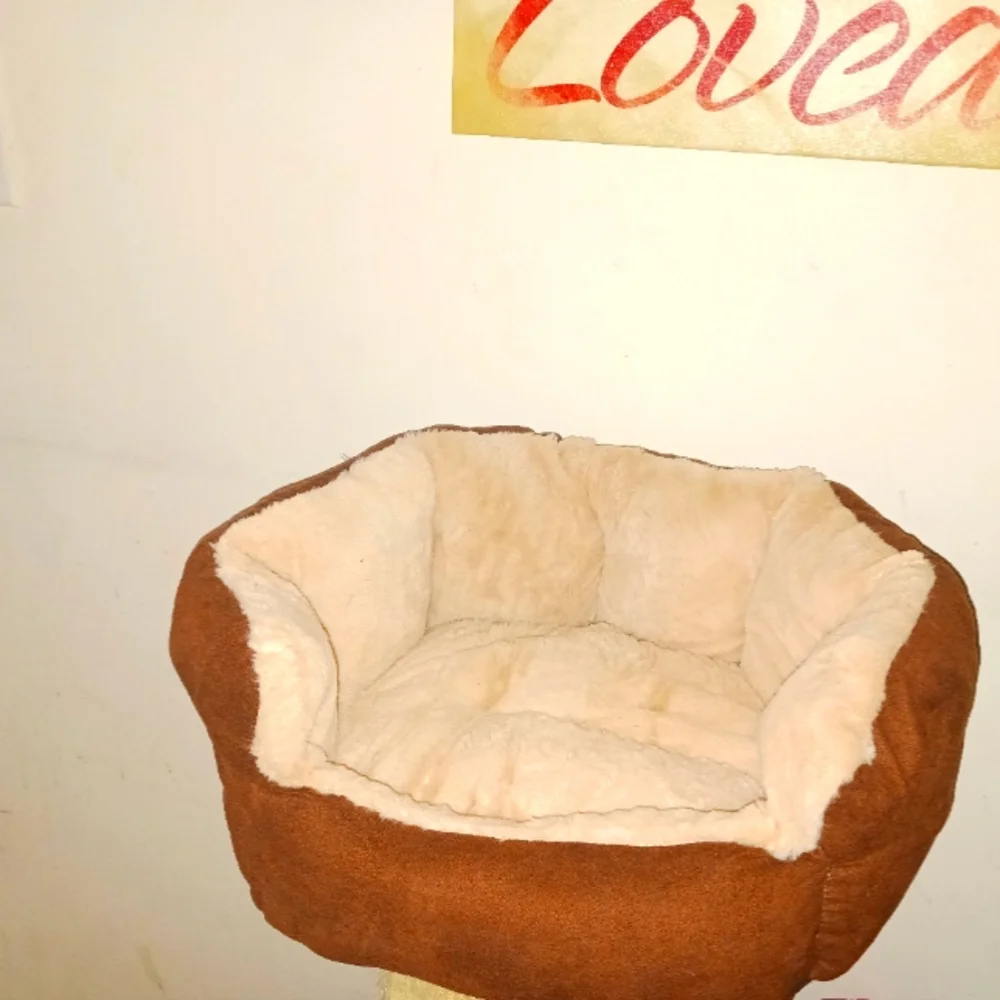 Cat Bed